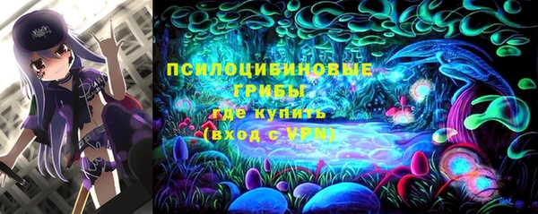 a pvp Абинск