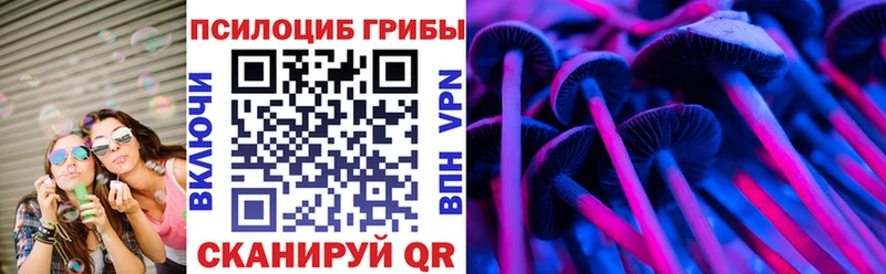 Галлюциногенные грибы GOLDEN TEACHER  omg вход  Кяхта  купить закладку 